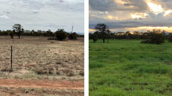 GREEN AGAIN: Bonita Floyd's before and after shows the difference last month's rain made to the Blackwater area.