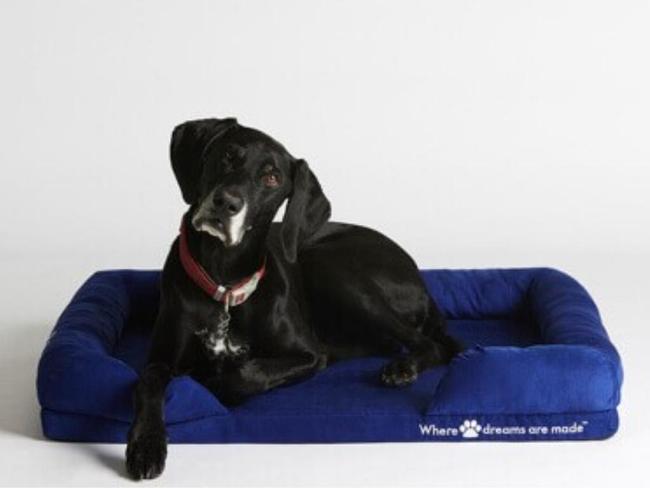 The Dog Bed. Picture: Sleep Republic.