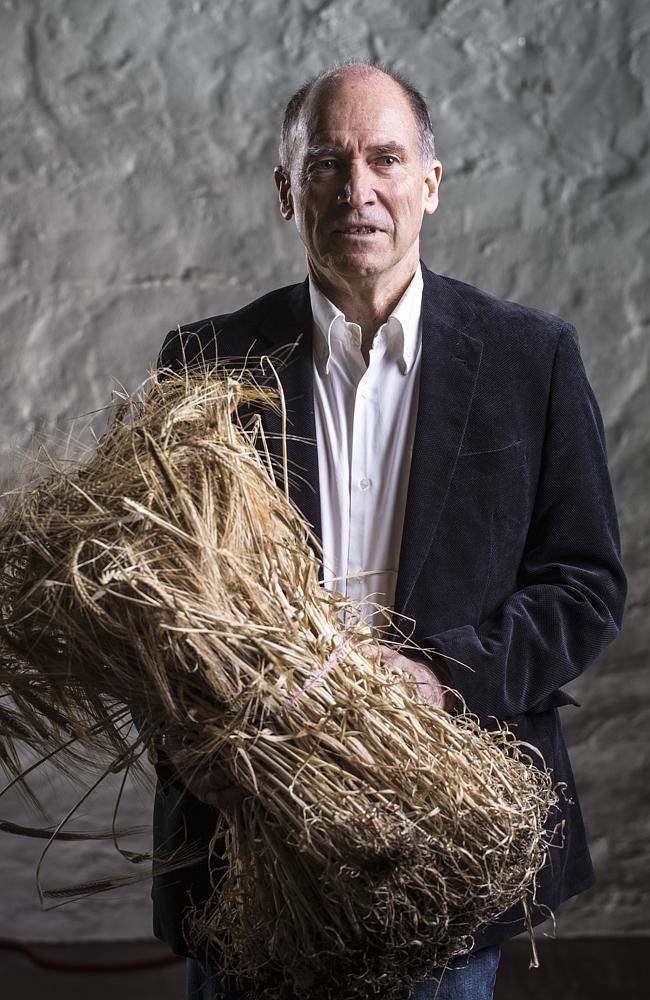 Professor Geoff Fincher, director at the Australian Research Council Centre of Excellence in Plant Cell Walls. Picture: Matt Turner