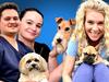 Insta dogs, fabulous furs: Inside the life of a top Sunshine Coast pet groomer