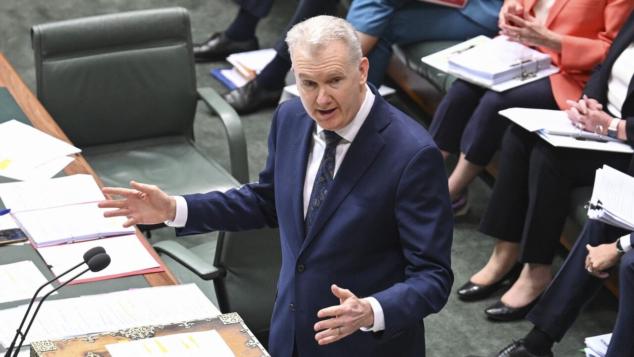 Visa cancellations relating to Gaza have been offshore: Tony Burke