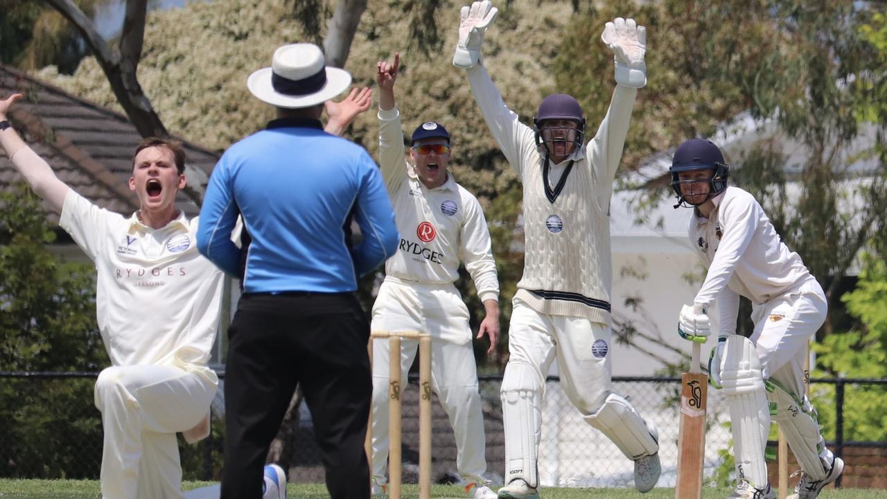 Geelong cricketers hand-picked for elite rookie program