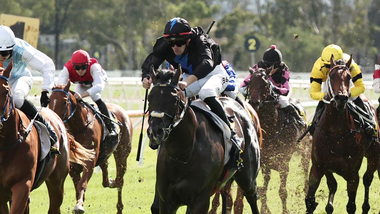 Freedman set to aim higher with unbeaten Aerodrome