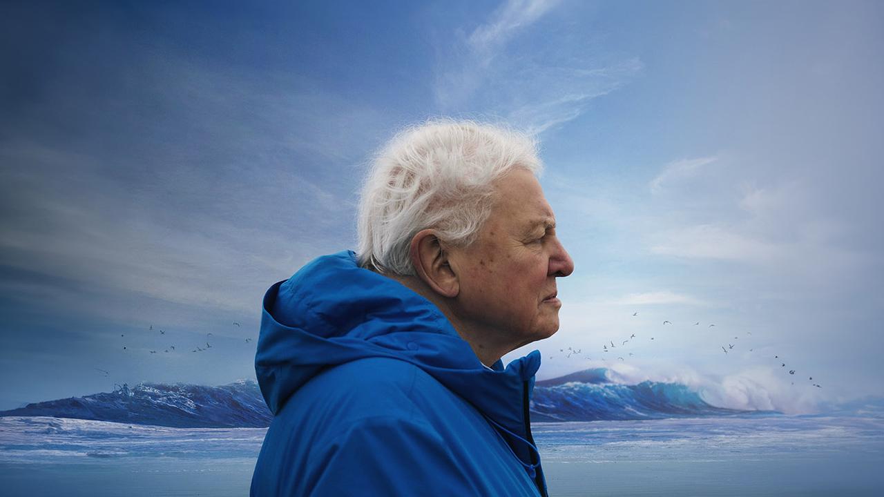 Ocean with David Attenborough: All aboard for must-sea doco  