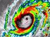 ‘Worst in a century’: Why Hurricane Milton is a monster
