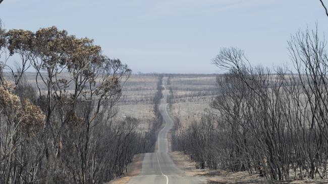 The iconic Flinders Chase National Park blackened by bushfire. Picture: Ross Evans, Natural Resources Kangaroo Island.