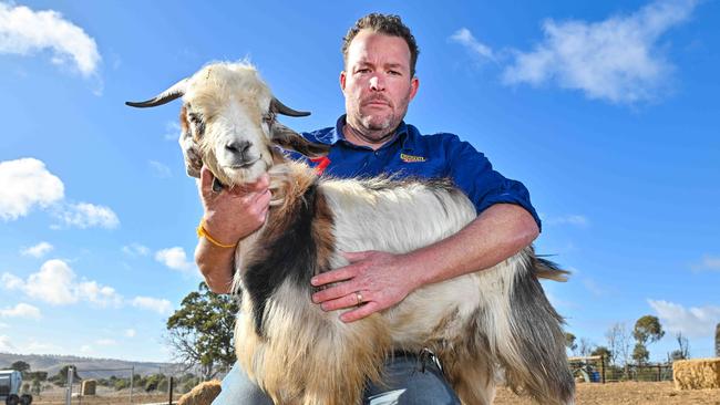 Andrew 'Cosi' Costello is trying to solve the cost of living crisis and damage to the Flinders Ranges by selling cheap goat meat. Picture: Brenton Edwards