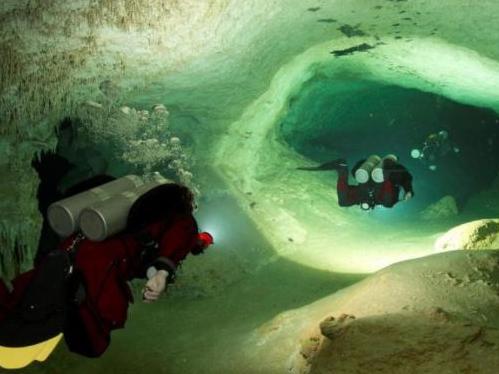 A scuba diver looks at an animal skull at Sac Aktun underwater cave system during exploration as part of the Gran Acuifero Maya Project near Tulum, in Quintana Roo state, Mexico February 12, 2014. Picture: Gran Acuifero Maya Project [GAM]/Reuters