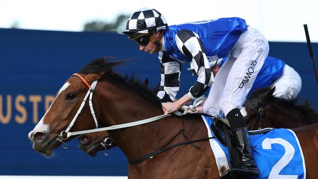 SYDNEY, AUSTRALIA - AUGUST 17: Benjamin Osmond riding Hellavadancer wins Race 5 KIA Ora Prague during "Rosebud Day" - Sydney Racing at Rosehill Gardens on August 17, 2024 in Sydney, Australia. (Photo by Jeremy Ng/Getty Images)