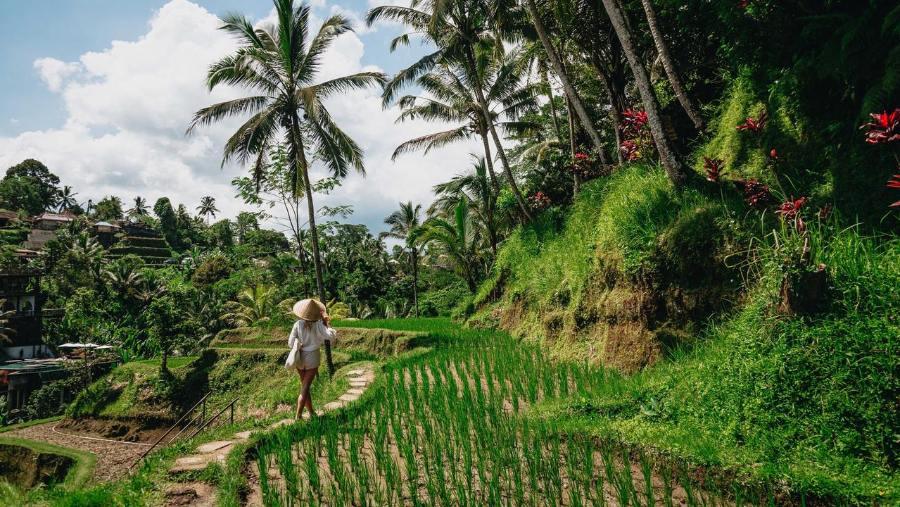 Bali’s rice fields are a popular tourist attraction. Picture: istock