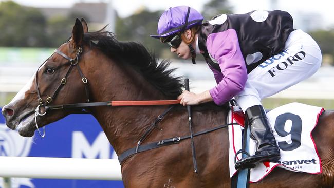 Hawkesbury Gold Cup 2015: Prince Cheri ready to rise again after back ...