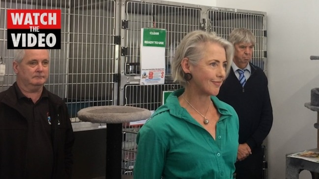 Greens announce animal welfare policy