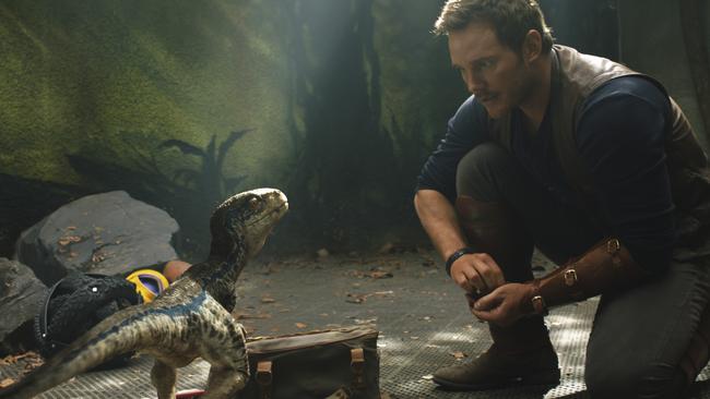 Chris Pratt stars in Jurassic World. Picture: Universal Pictures