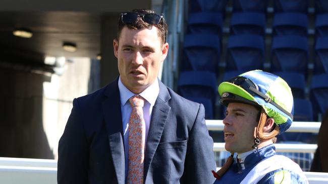 Trainer Nathan Doyle prepares the in-form Unwavering Faith. Picture: Grant Guy