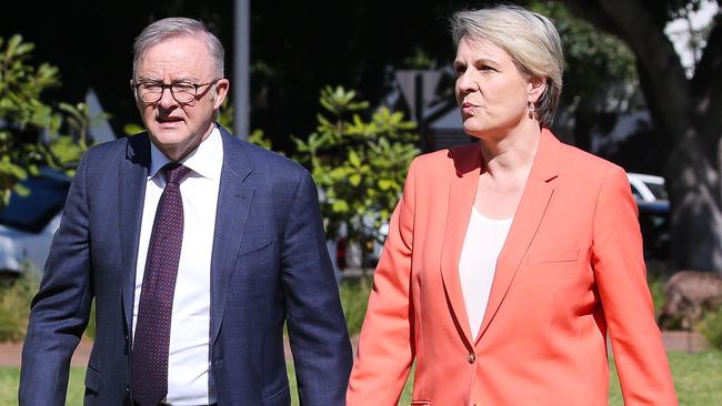 Two environmental reviews into endangered fish are threatening Tasmania’s salmon industry and widening tensions between Anthony Albanese and Tanya Plibersek. Picture: NewsWire / Gaye Gerard