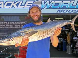 VERY HAPPY MAN: Boris Laffineur might not have caught the largest spanish mackerel so far in the $1000 Davo's Mackerel Mania competition, but he sure had the biggest smile. Picture: www.fishingnoosa.com.au