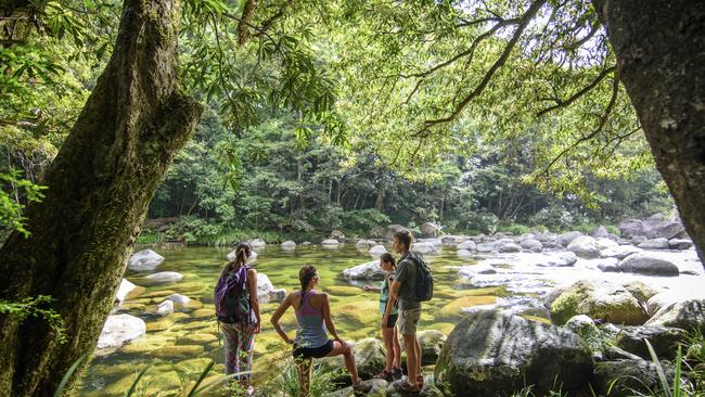 Mossman RiverFNQ Nature Tours, QueenslandPhoto - FNQ Nature ToursEscape 20 February 2022Wildlife encounters HOTLIST