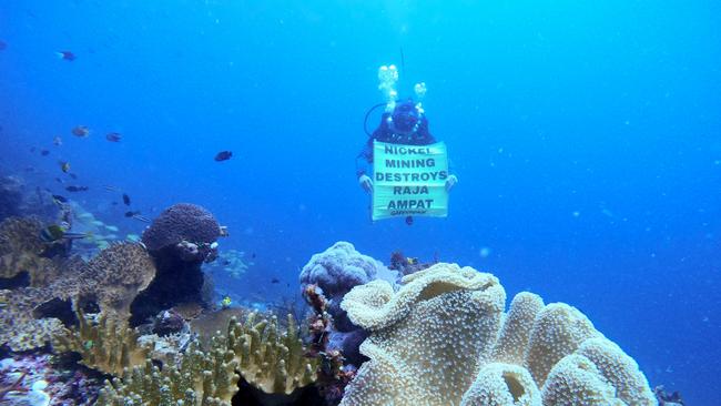 Greenpeace global head of Indonesia forest campaign Kiki Taufik spreads the message in the UNESCO Global Geopark area of Raja Ampat, Southwest Papua, Indonesia. Picture: Melkyas Sianyar