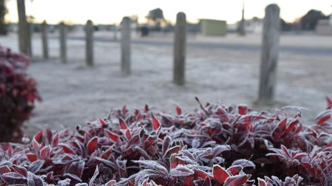 It felt like -3.7C in Oakey, west of Toowoomba, on Monday morning. Picture: Daniel Saltwell/SWA