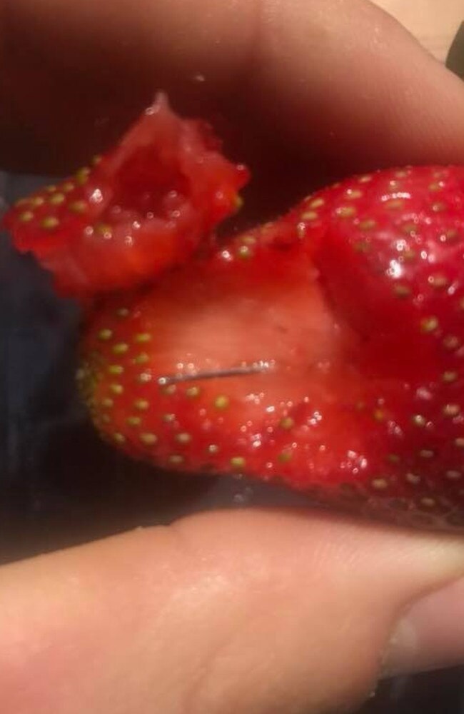 A strawberry spiked with a needle from the same punnet as the fruit which struck down Brisbane man Hoani Hearne. Picture: Facebook/Joshua Gane