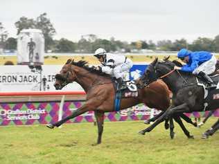 Peter and Paul Snowden's Signore Fox claimed the 2020 GDSC Ramornie Handicap. Picture: Adam Hourigan