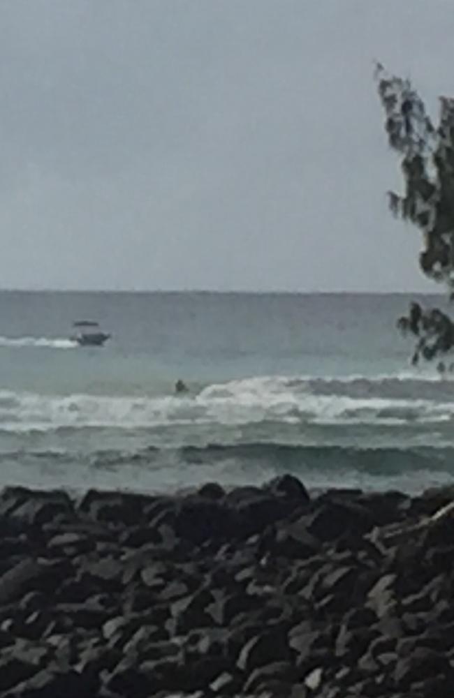 A lone man in a dinghy save a baby whale caught in shark nets off Burleigh Headland Photo: Supplied