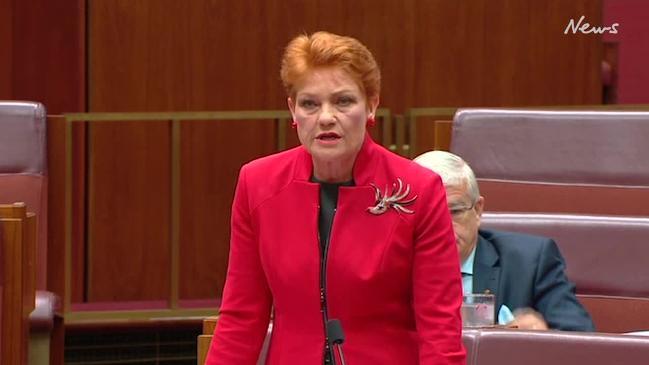 Pauline Hanson wants people to 'think of the children' during the SSM debate