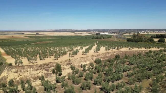 Unseasonal Heat Scorches Spanish Countryside | News.com.au — Australia ...