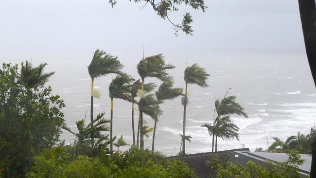 Strong winds at the top of Flagstaff Hill in Port Douglas ahead of the touchdown of Cyclone Jasper in December last year. Picture: Peter Carruthers