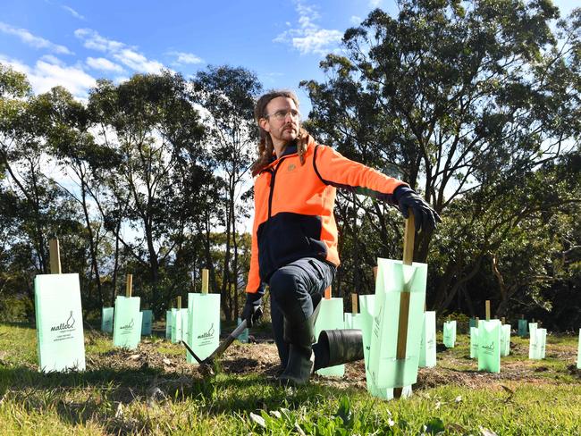 30/6/20. Conservation stimulus - TreesForLife team Supervisor Conservation Field Officer Phil Goodwin spraying weeds and checking on freshly planted native vegetation in the Cleland Conservation Park. Picture: Keryn Stevens