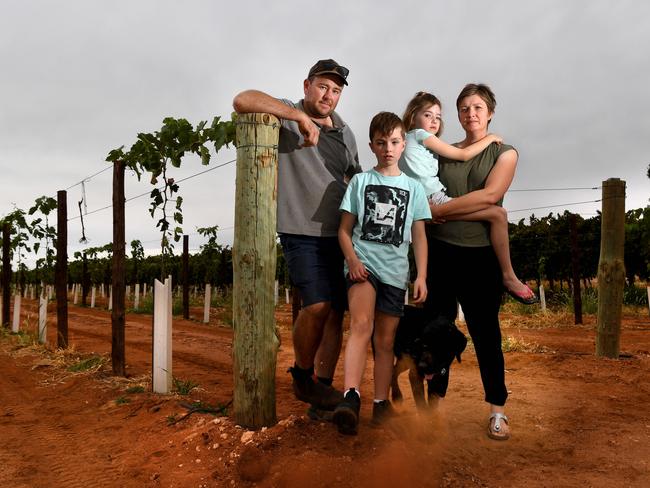 Barmera grape grower Ashley Chabrel with his wife Natasha, son Angus and daughter Avril on their property. Picture: Tricia Watkinson