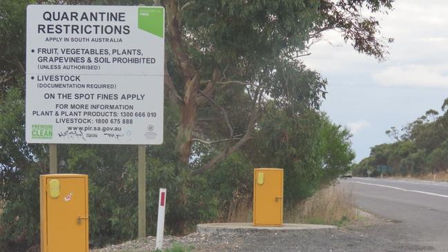 A fruit fly quarantine sign on the South Australian side of its border with Victoria. Picture: Arj Ganesan