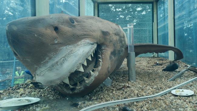 Rosie the Shark was removed from the former Bass wildlife park in 2019. Picture: Ian Currie