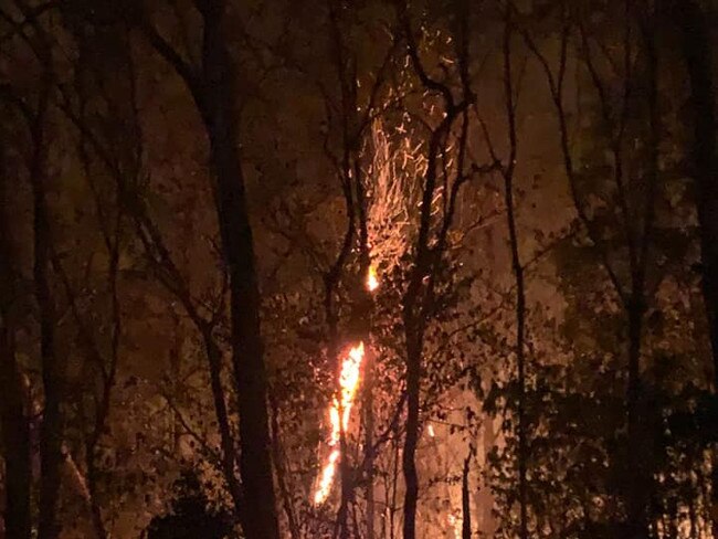 SOCIAL MEDIA IMAGE DISCUSS USE WITH YOUR EDITOR - Queensland Fire and Emergency Services has issued an Advice warning about the fire, which continues to burn in a northerly direction near Forestry Rd, between the Bruce Hwy and Bulburin National Park.