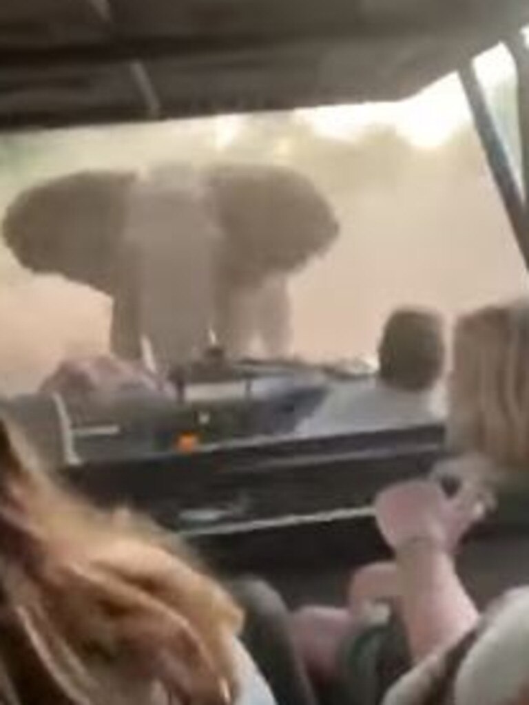 The elephant stormed the tourists in the Jeep