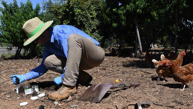 GHD constancy firm testing the soil and fruit tress in the chicken coop and surrounding area of the Largs North MFS station for the potentially deadly chemical PFAS. Picture: Tricia Watkinson