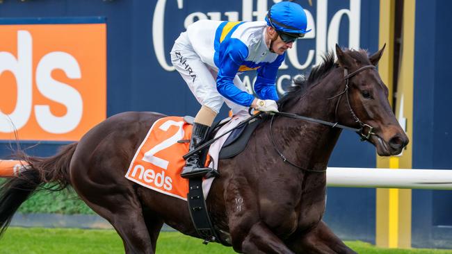 Jigsaw returned a winner at Caulfield. Picture: Racing Photos via Getty Images