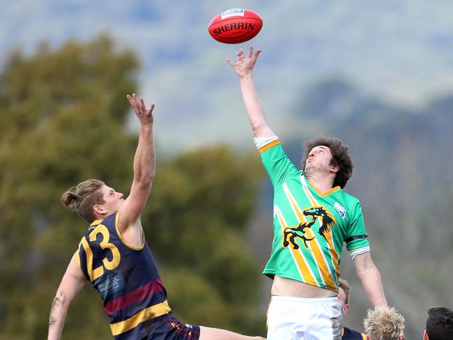 Grattan Stephens goes up in the ruck. Picture: Hamish Blair