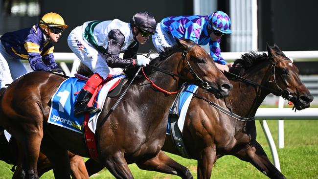 Little separated Mr Brightside (outside) and Pride Of Jenni (inside) when the pair met in the CF Orr Stakes at Caulfield last month. Picture: Getty Images