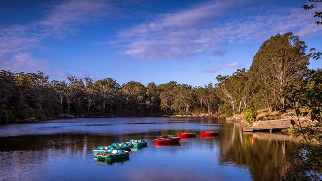 Lake Parramatta provides a picture perfect backdrop for a swim. Picture: Will Dower