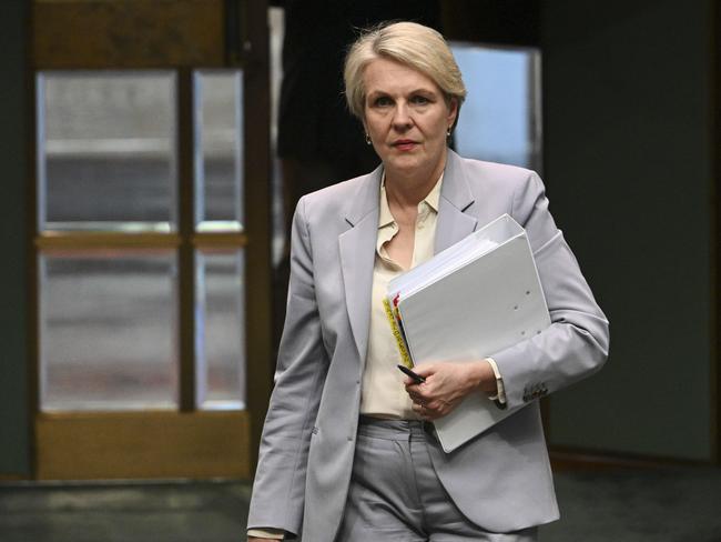 Tanya Plibersek has decided to axe the mine site. Picture: NCA NewsWire / Martin Ollman