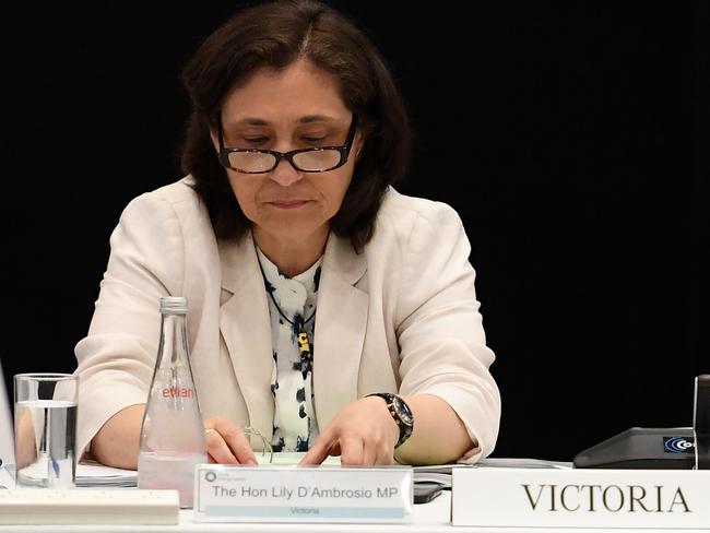 Victorian Energy Minister Lily D' Ambrosio. Picture: Dan Himbrechts