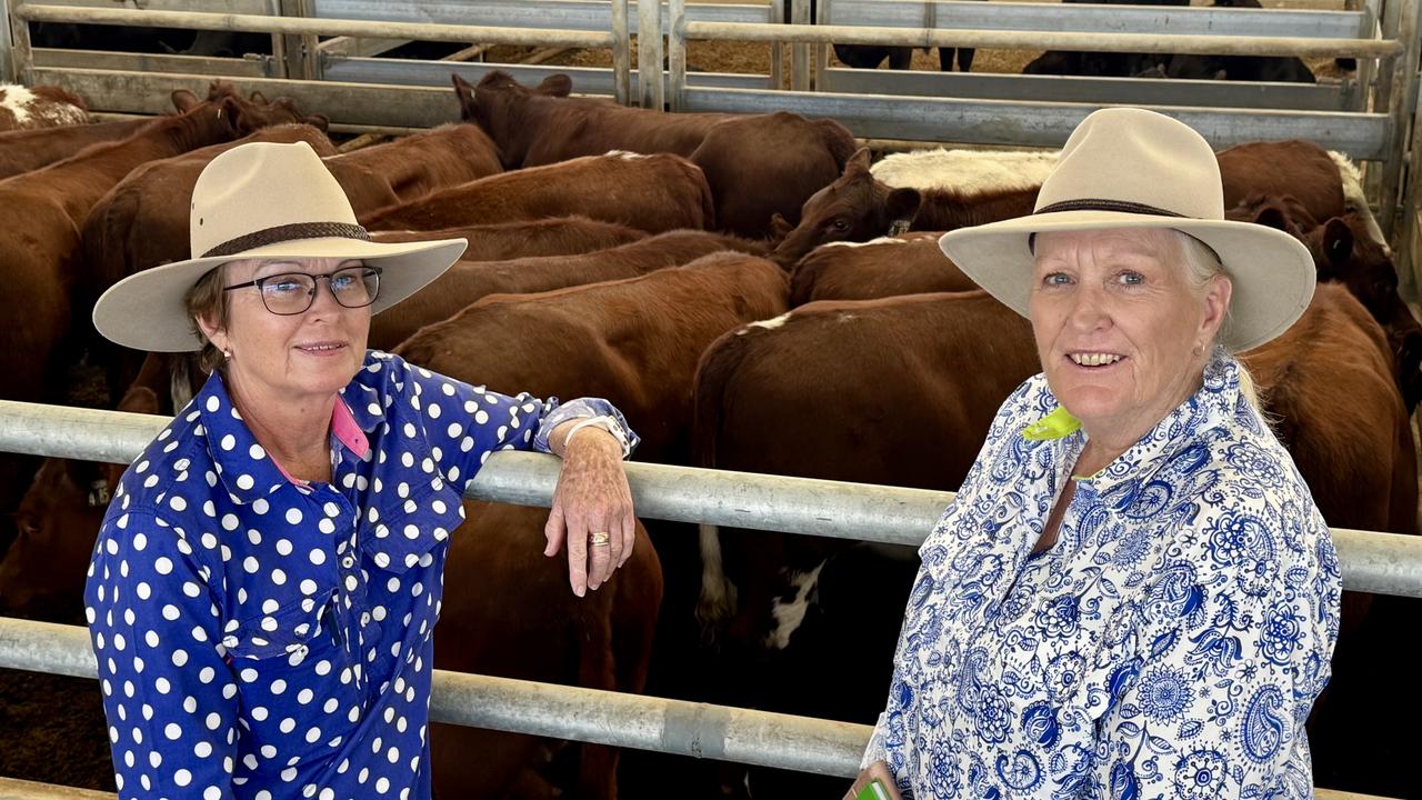 Cattle numbers surge at Naracoorte store sale