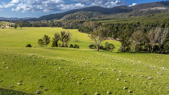 Mineral Banks, located 58km from Launceston, has been listed for sale by the Foster family.