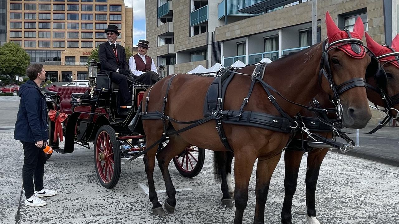 Sunrise presenter Sam Mac with the team from Hobart Heritage Horse Drawn Carriages. Picture: Genevieve Holding