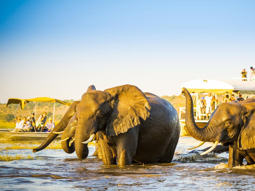 Best Places To Sightsee In Africa | Escape.com.au