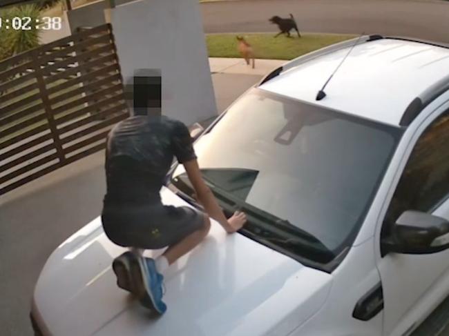 The quick thinking boy took shelter on the top of a car.