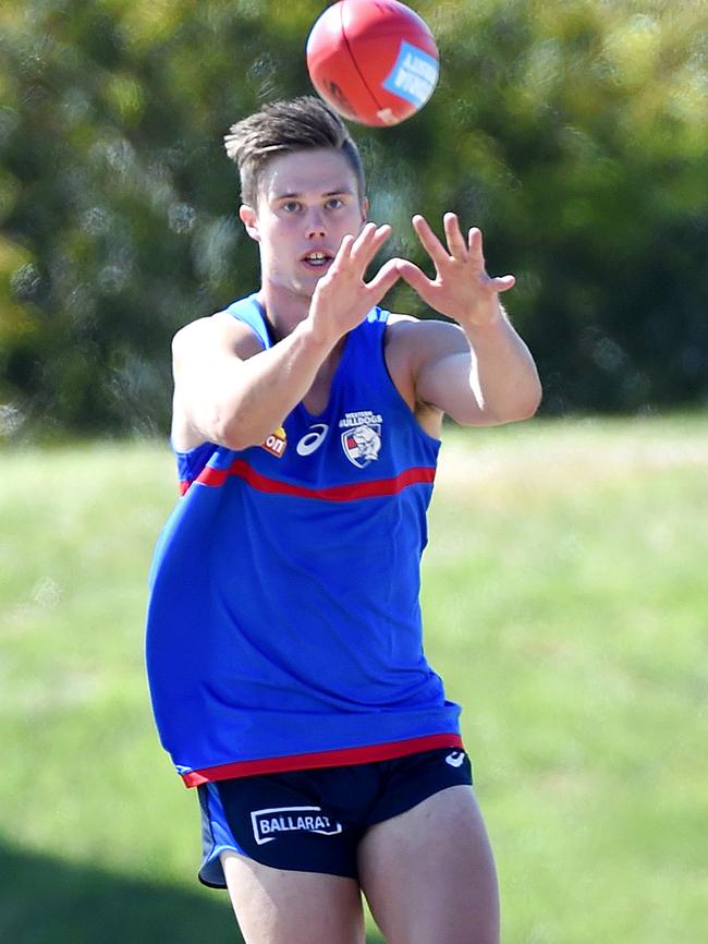 Josh Schache in his new colours. Picture: Nicole GarmstonJosh Schache is much happier back in Melbourne. Picture: Nicole Garmston