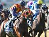 The Early Oil: Caulfield