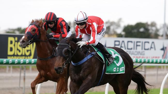 Carly Frater-Hill riding on Sidekiss wins during race 4, the Wash It Australia QTIS. Picture: Tertius Pickard